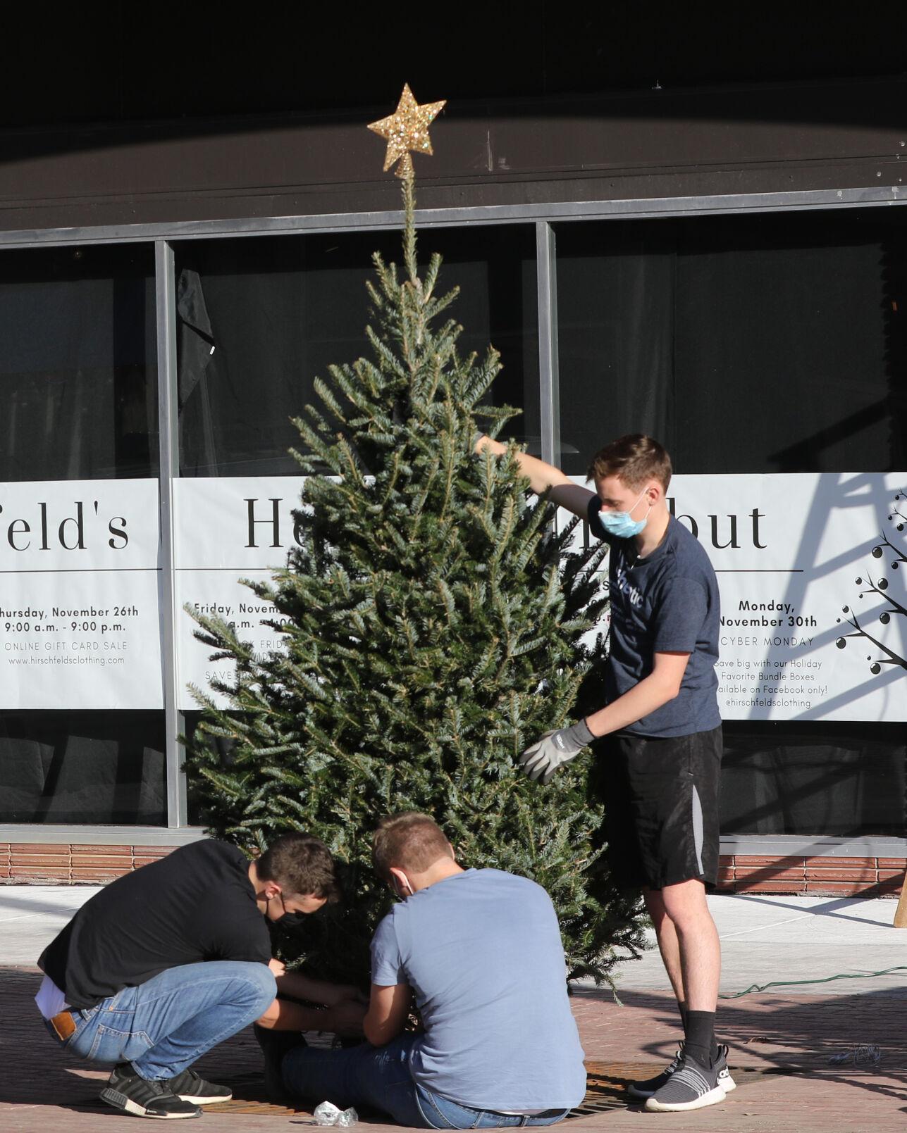 11-22 community tree.jpg